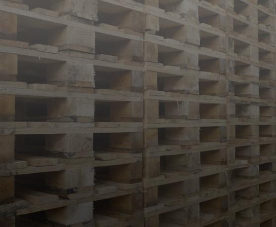 Pallet Distributie